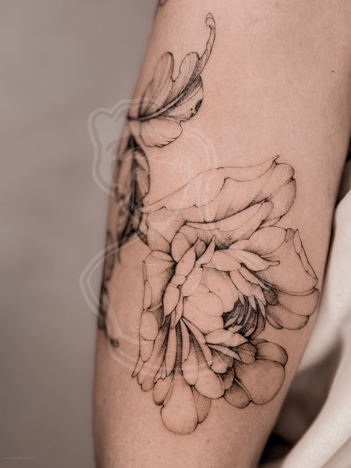 Tatuaż Botanika piwonia duza - ArcyTattoo Lublin