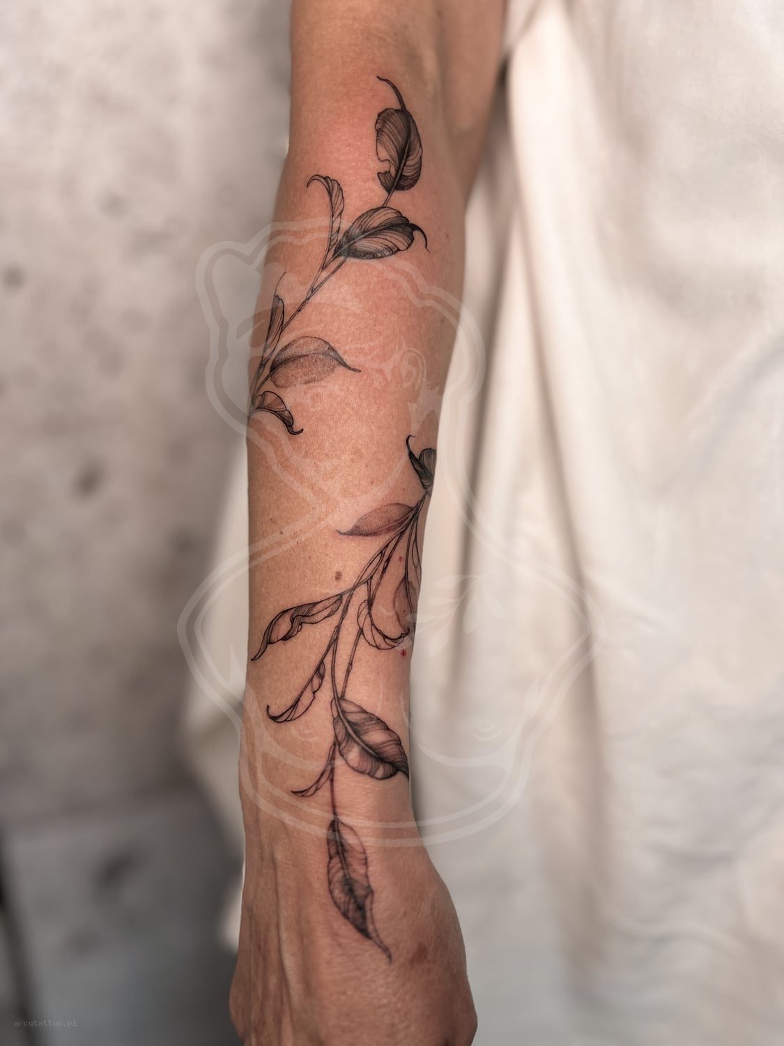 Tatuaż Fineline galazka - ArcyTattoo Lublin
