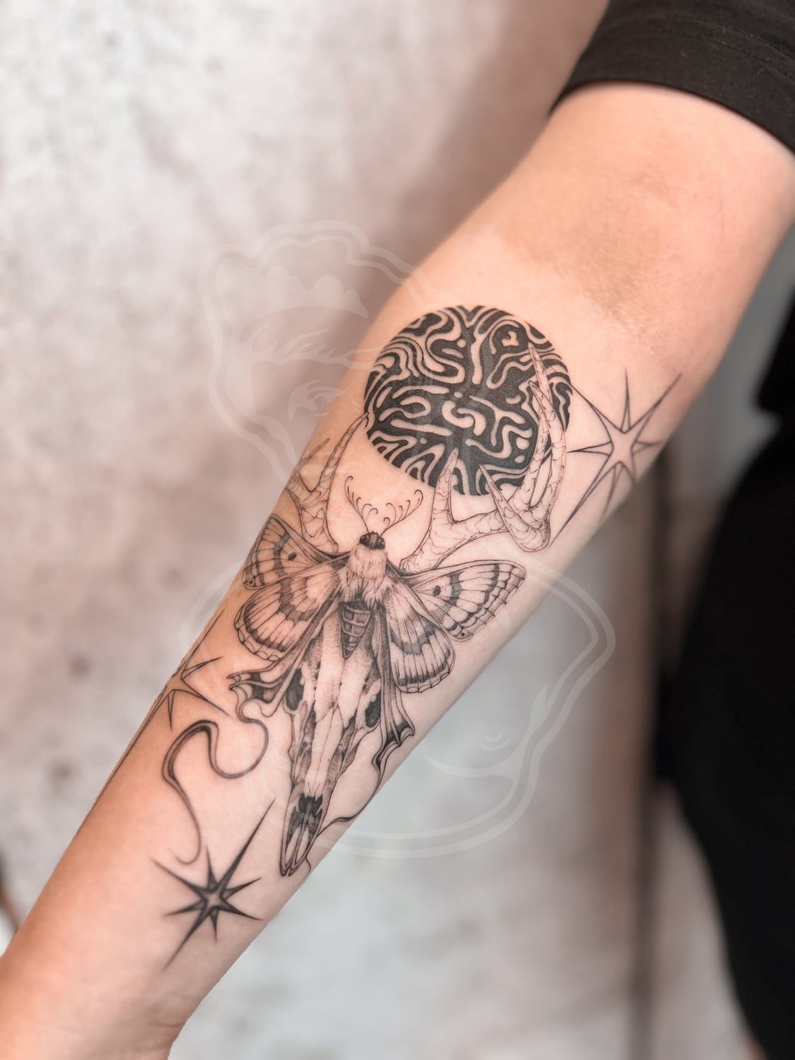 Tatuaż Graphic / ornament cma ornament - ArcyTattoo Lublin