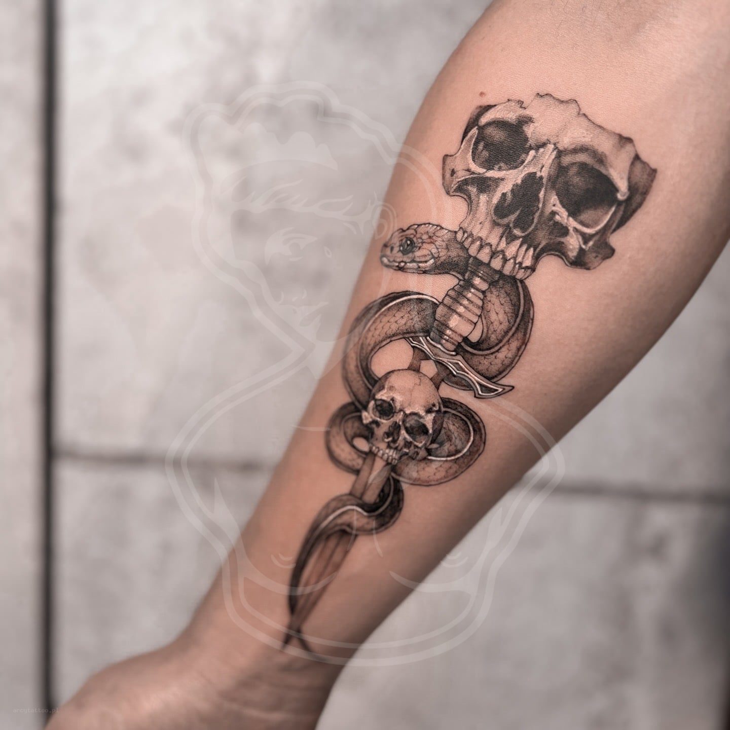 Tatuaż czaszka waz - ArcyTattoo Lublin