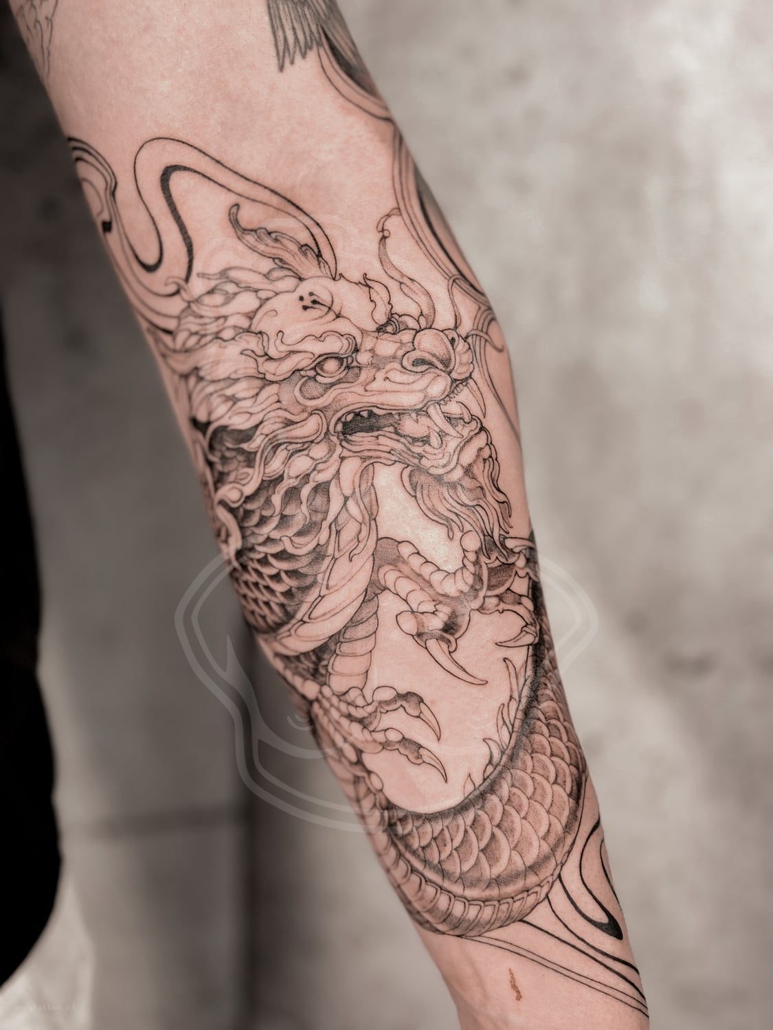 Tatuaż Graphic / ornament smok - ArcyTattoo Lublin