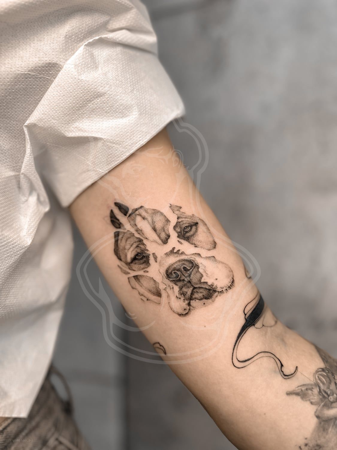 Tatuaż Portrety zwierząt lapa psy - ArcyTattoo Lublin